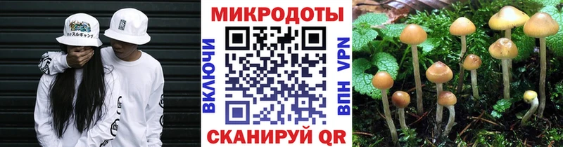 Псилоцибиновые грибы MAGIC MUSHROOMS  Приволжск 
