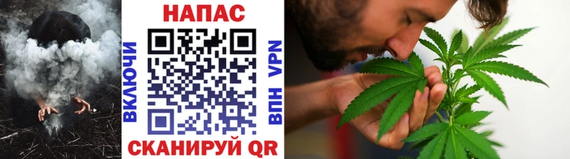 Шишки марихуана семена  Приволжск 